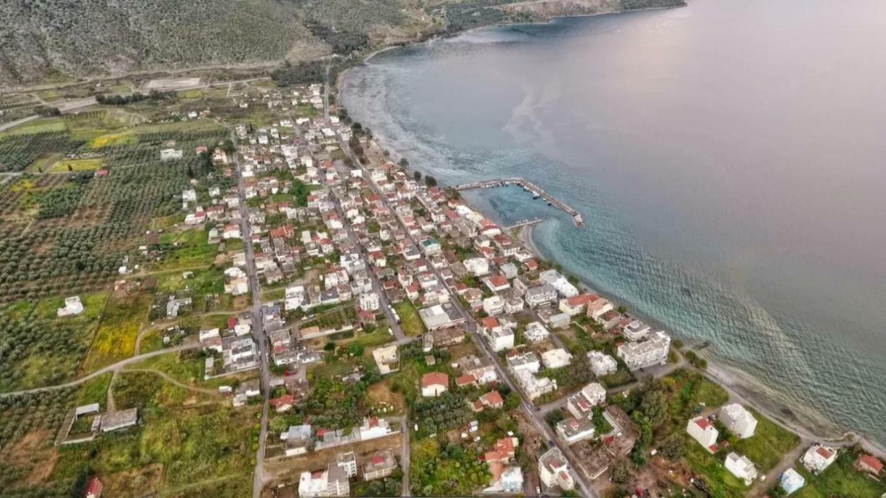 Ferienwohnung Luxury Seafront House Nearby Delphi Kirra Exterior foto